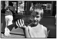 https://ed-templeton.com/files/gimgs/th-150_Kid with fish Avalon.jpg